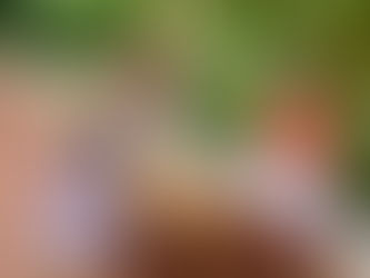 Holistic Education (giáo dục mang tính tổng thể) tại HEI Schools Saigon Central diễn ra như thế nào?