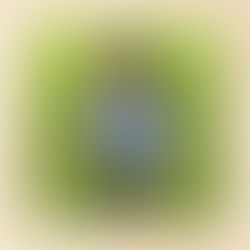 Góc Nhìn HEI Schools #19: Hiểu và hỗ trợ sức khỏe cho trẻ giai đoạn đầu đi học