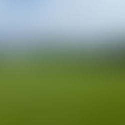 Penicuik Athletic 1-3 Newtongrange Star