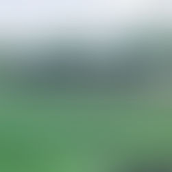 Bo'ness Athletic 1-0 Penicuik Athletic