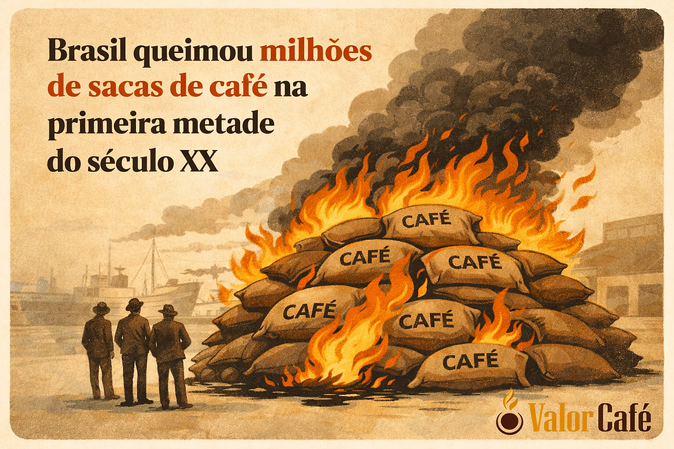 Queima de café