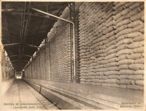 Na primeira metade do século XX, o Brasil queimou milhões de sacas de café