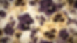 2023 Website images for Programs + offerings -10_edited.jpg
