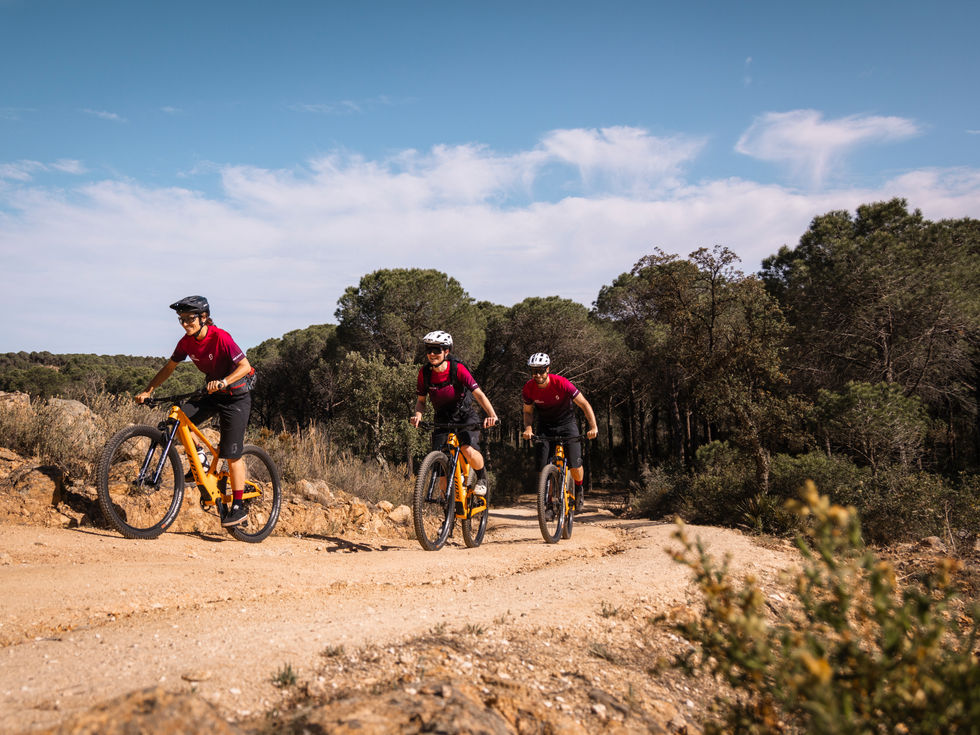 Mountainbiker beim hochfahren. Aussicht auf Wald in freier Fläche. Aufnahmen für Bikeholiday