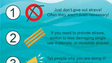 The final straw: why are so many Brighton pubs ditching plastic?