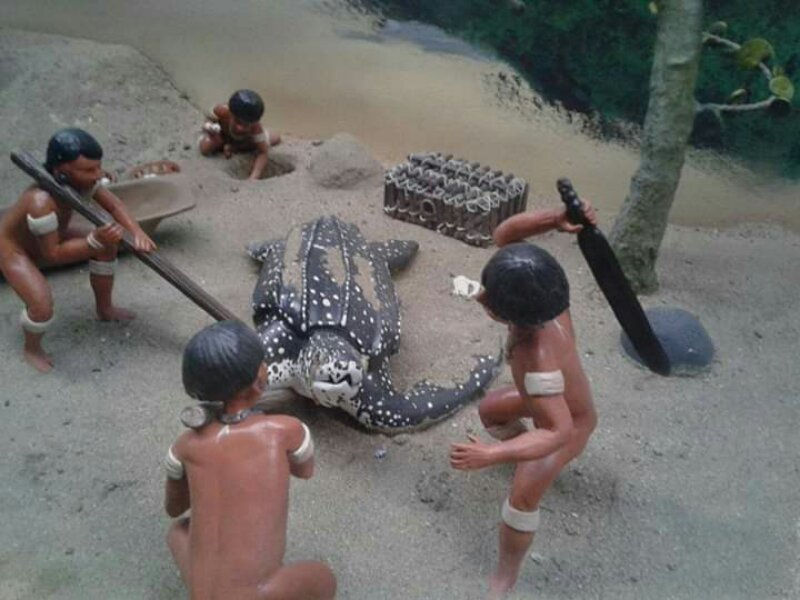 Indios Taínos de Puerto Rico Estilo de Vida