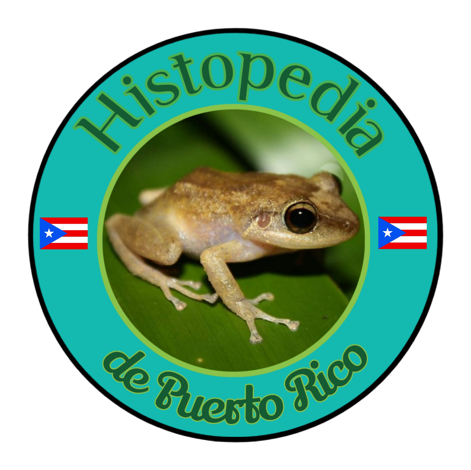 Foto del escritor: Histopedia de Puerto Rico
