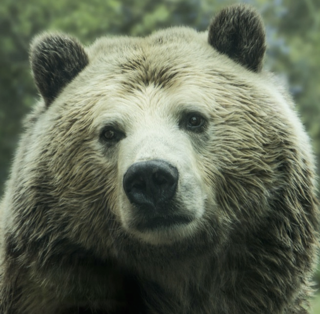 Capítulo 14: De vuelta al hospital