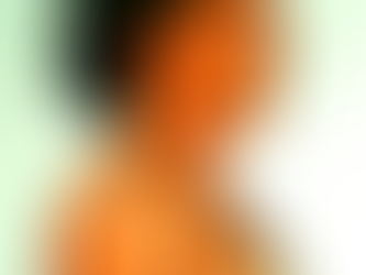 Descripción de los taínos y su arte