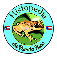 www.histopediadepuertorico.com