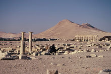 砂漠の遺跡〜シリア・パルミラ　Photo by Tomoko Hoshino