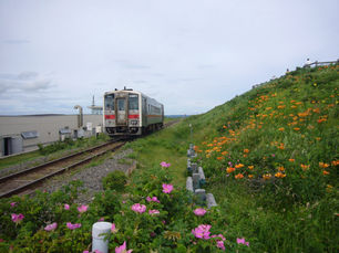 The arrival of spring in Kitami, Hokkaido. Photo by Tomoko Hoshino