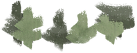06_pfo_sapins_droite_bg.png