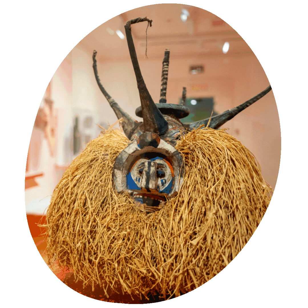 reelly web homepage image.gif