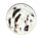MINT CHOC CHIP
