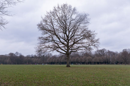 IMGL0236_5120x3413