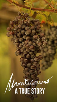 Montecariano vini della Valpolicella
