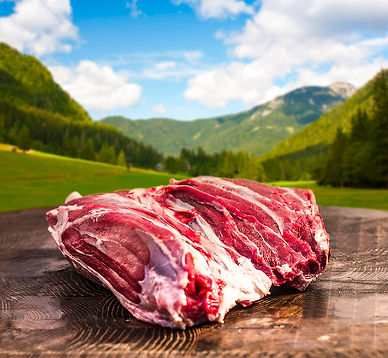 Muscolo di Garronese Veneta®