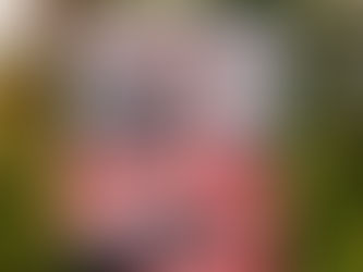 Les Enfants loups de Vera Buck aux éditions Gallmeister