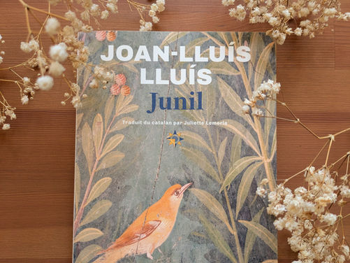 Junil de Joan-Lluis Lluis aux éditions Les Argonautes