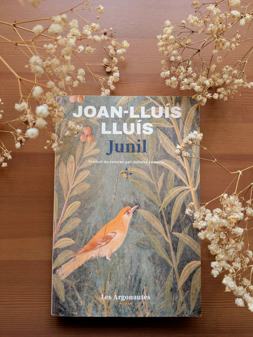 Junil de Joan-Lluis Lluis aux éditions Les Argonautes