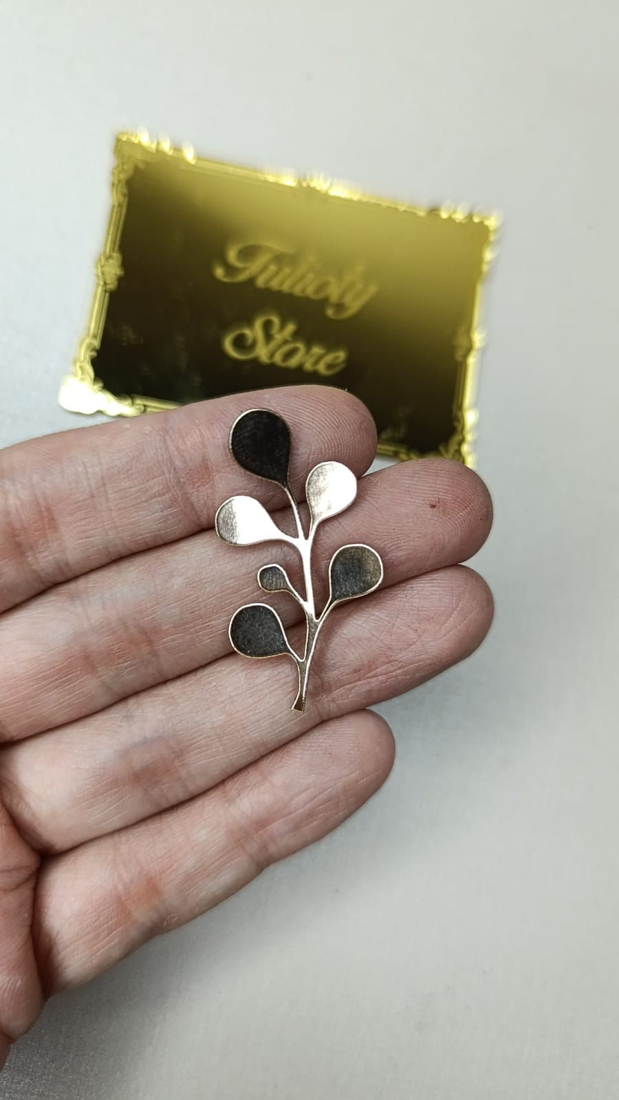 Miniatura: Raminho Hiroe (lonita espelhada)