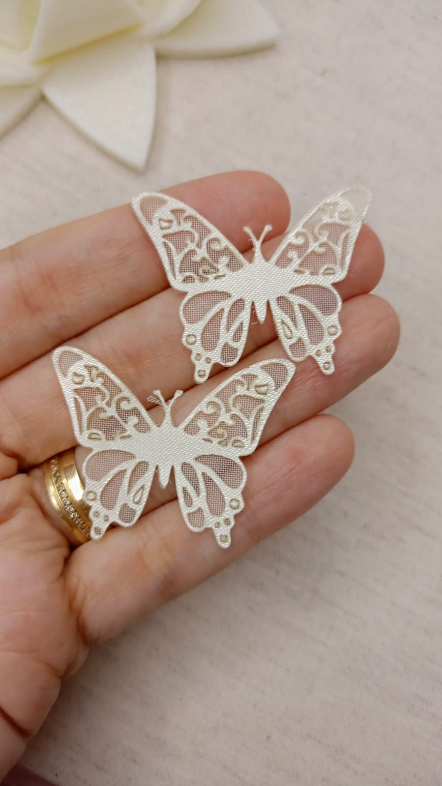Miniatura: Borboleta Hadassa