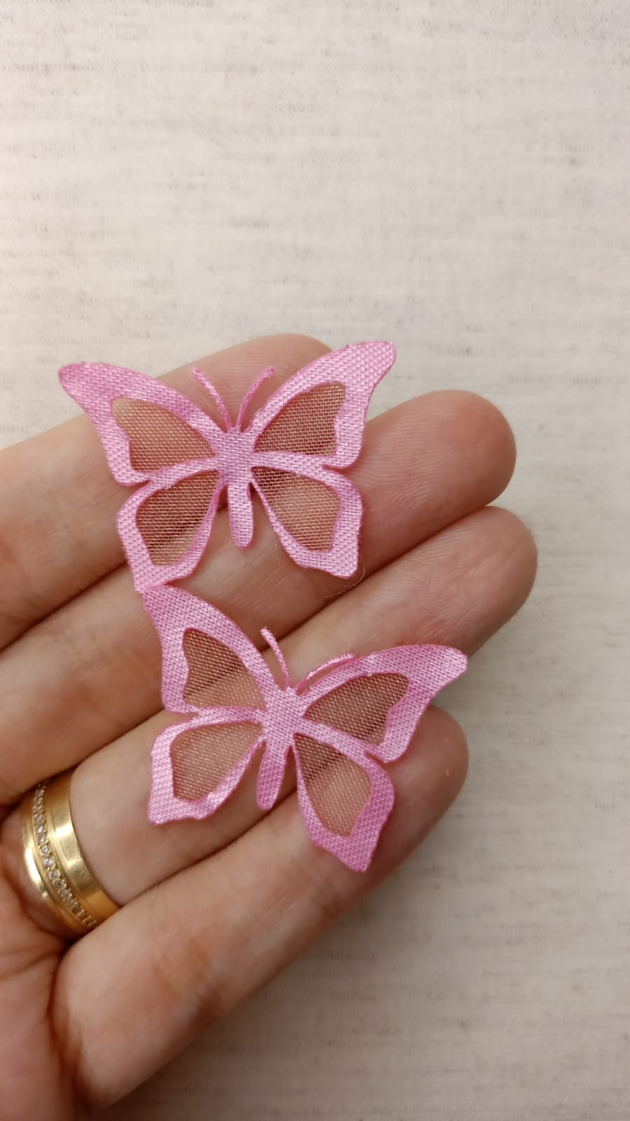 Miniatura: Borboleta Marin