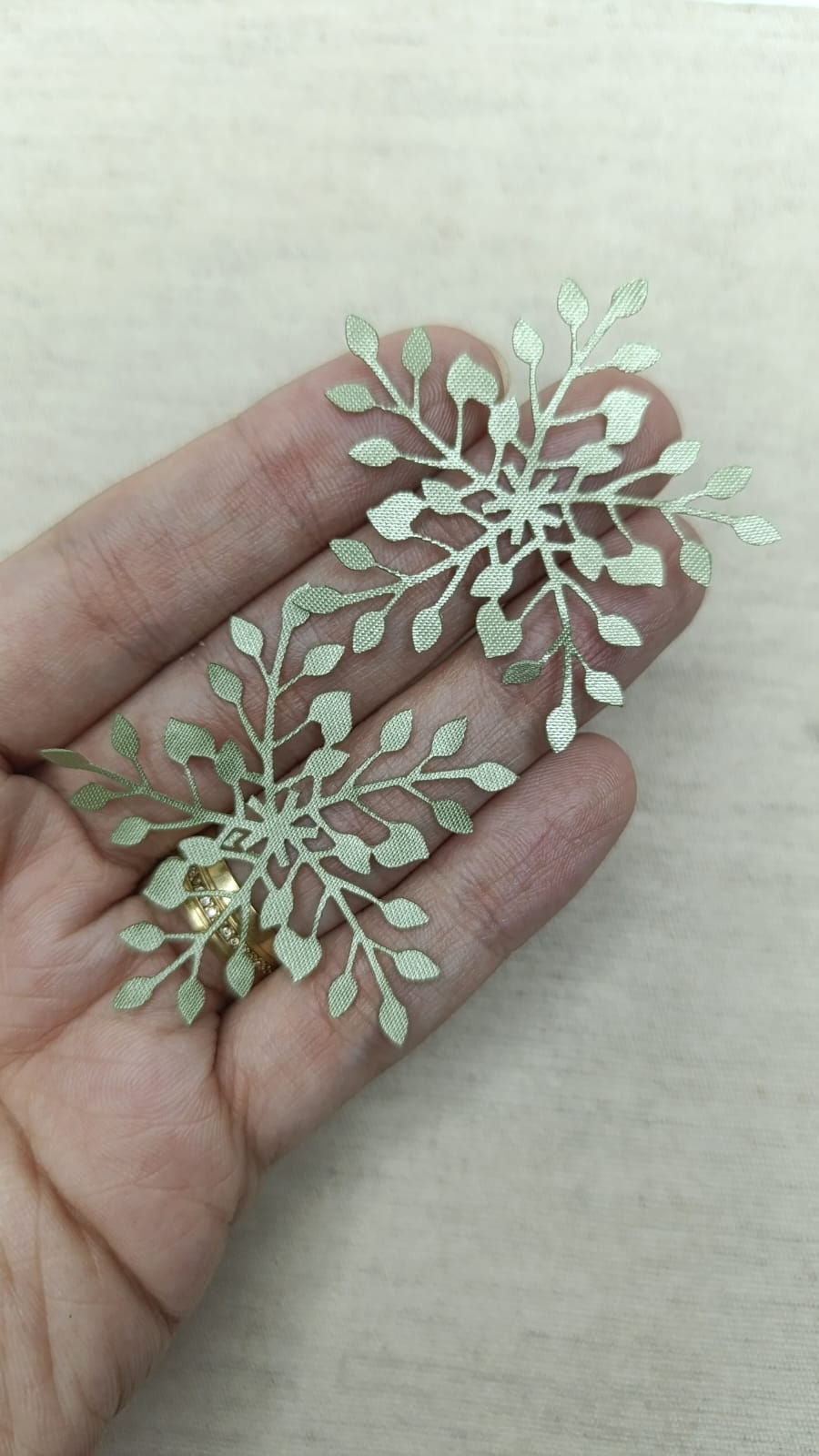 Miniatura: Pistilo yumi