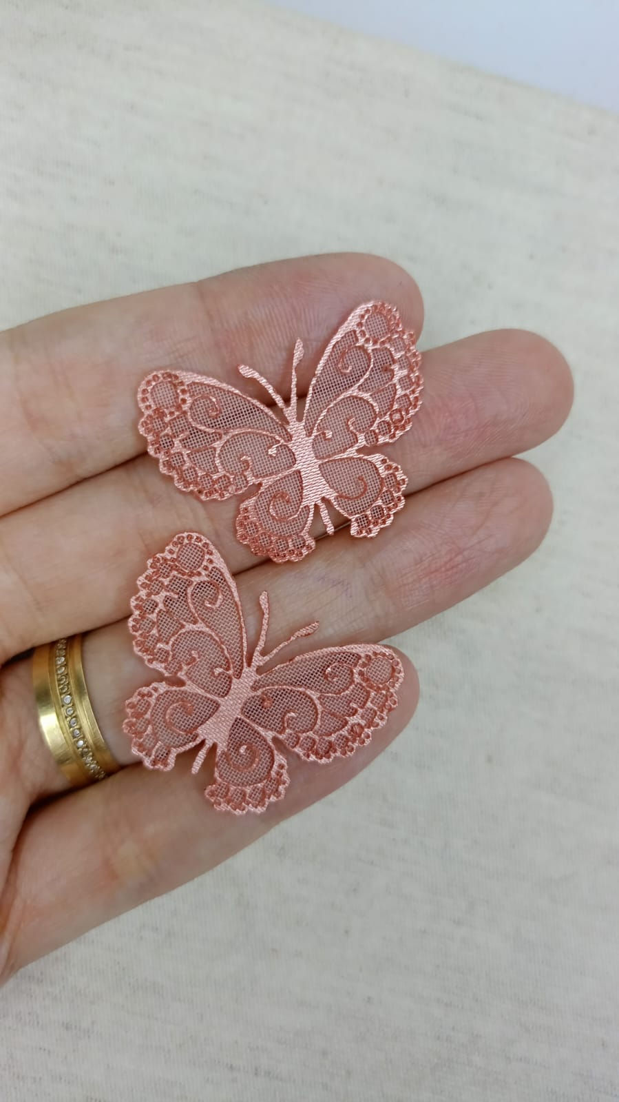 Miniatura: Borboleta esperaça mini