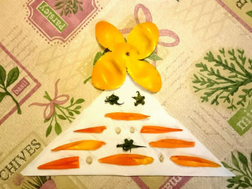 Palate Palette  食色