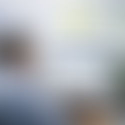 Empresário acompanhando solicitação do Simples Nacional no sistema