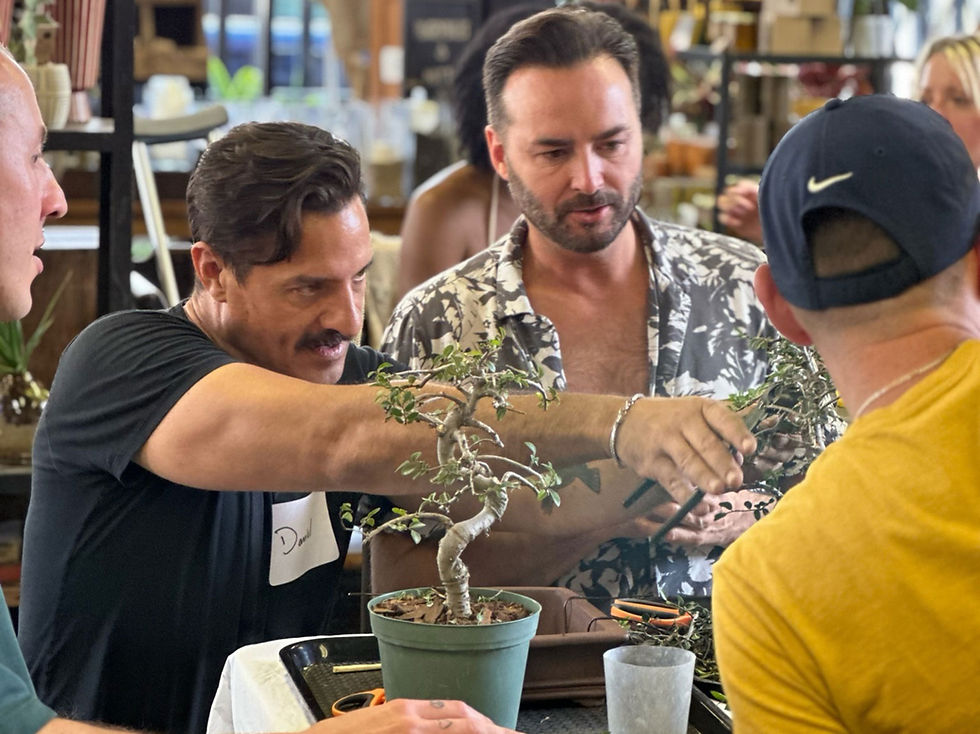 Beginner Bonsai Workshop