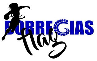 flag logo.jpg