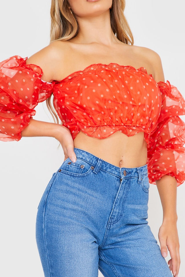 Organza & Polka Dot