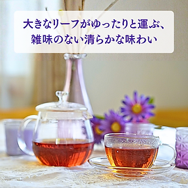 Kandy OP Amazon飲み方2.png