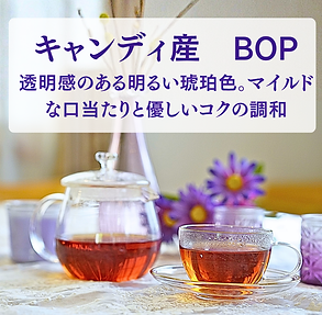 Kandy BOP　飲み方.png