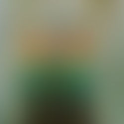 Kate Slatter and Megan Still Australian Women's Pair Atlanta 1996.  Olympic Gold Medallists.