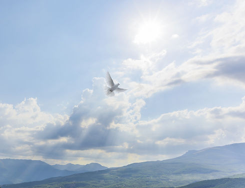 Light in the Sky_edited.jpg