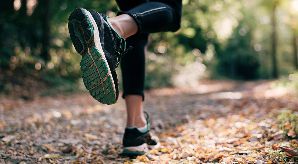 Fulham's Green Spaces for Outdoor Fitness