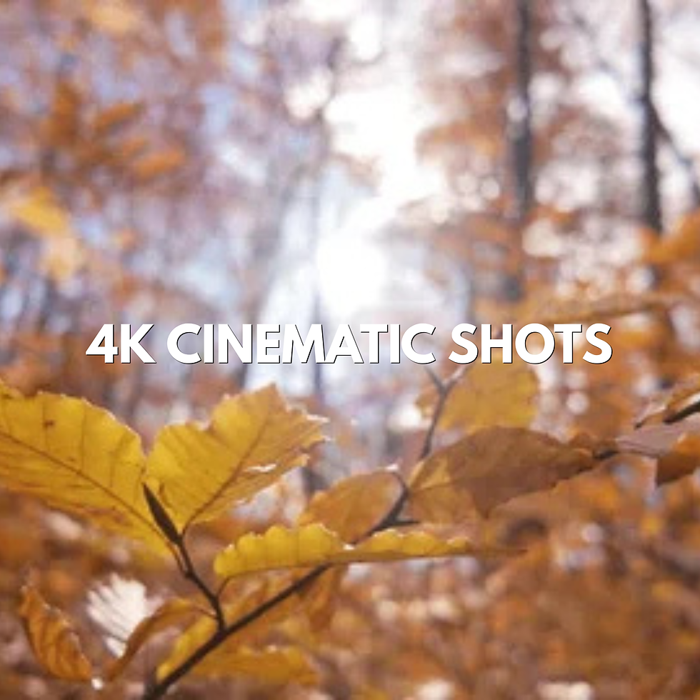Cinematic.png