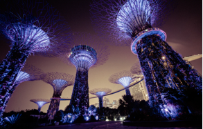 DNA INNOVATORS - Growth Hub