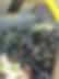 490022576_1099579582199483_6344809935038061438_n.jpg