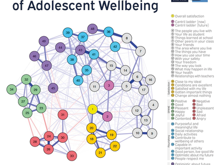 Estudo sobre o Bem-Estar adolescente reforça a abordagem do Modelo PROJECT@ - Um Filosofia para a Felicidade