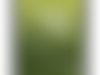 Editora RH publica livro sobre Educação para a Felicidade