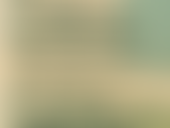 4 MC = PG em RS e Normalização