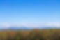 9697A7AE-92F3-479E-8E99-A9CE9CD3EE24.jpeg