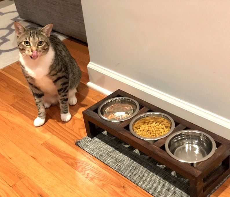 triple feeder for cat