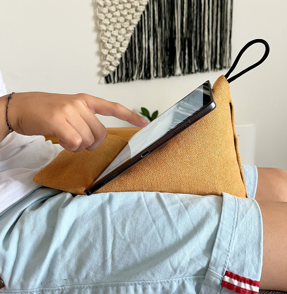 kindle bean bag stand