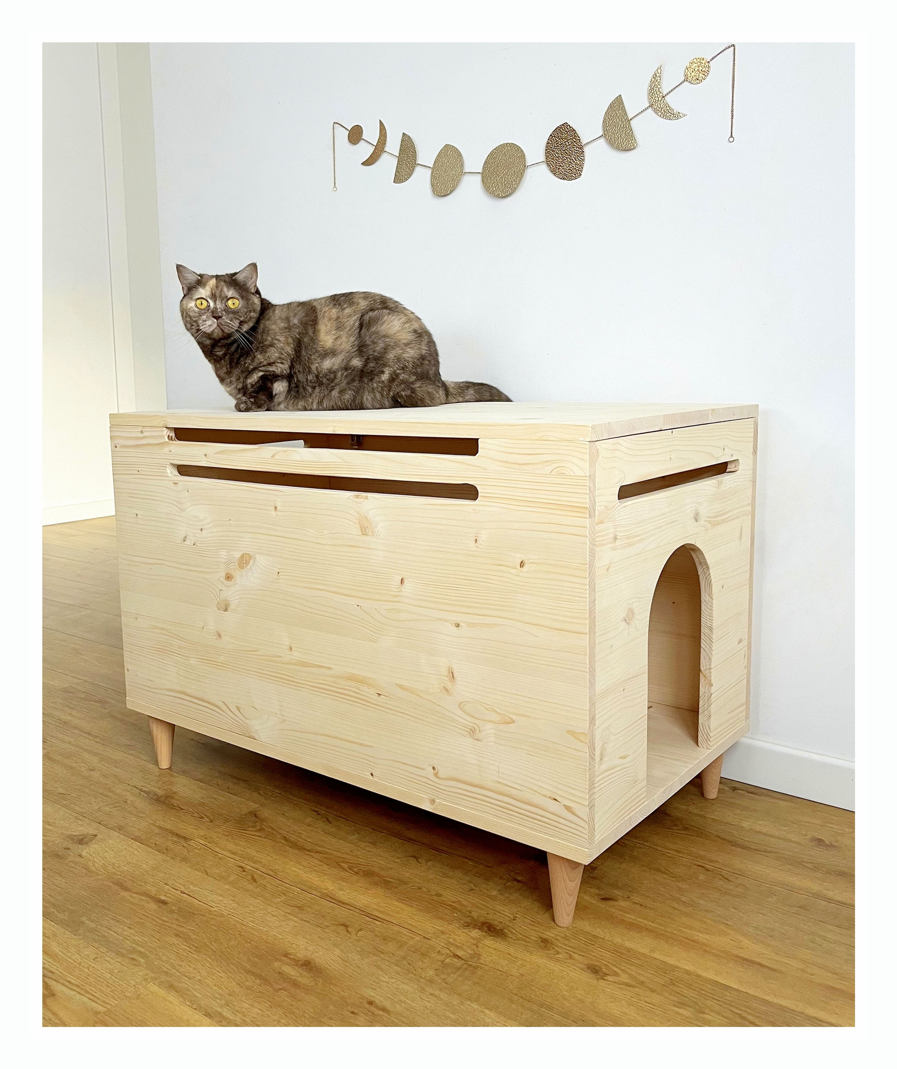 cat litter top opening